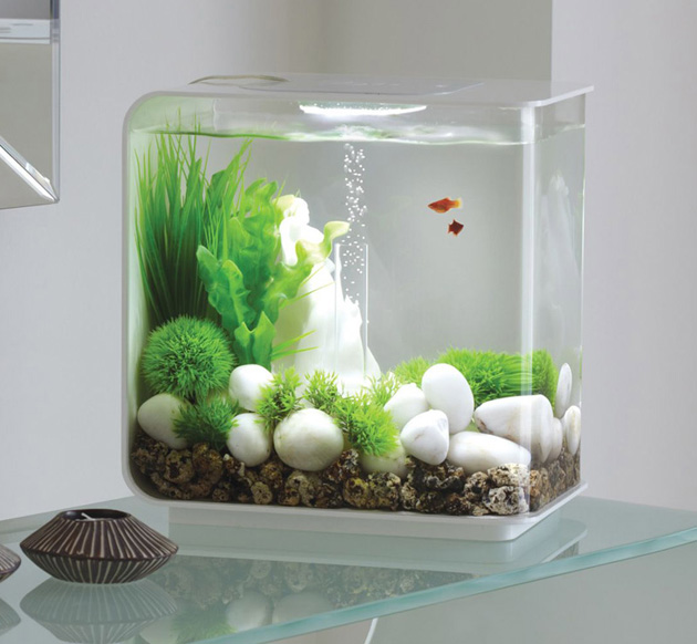 Cheap fish outlet tanks