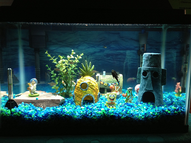 beach aquarium decor